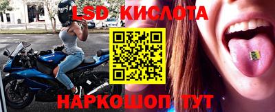 эйфоретик Будённовск