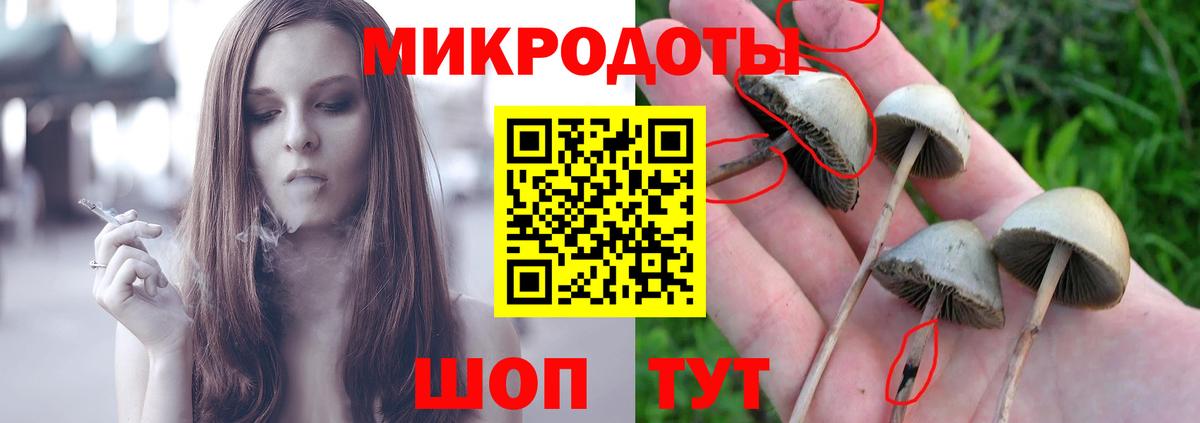 Псилоцибиновые грибы GOLDEN TEACHER Кореновск